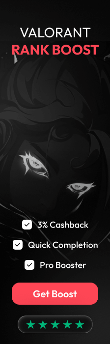 Sponsor